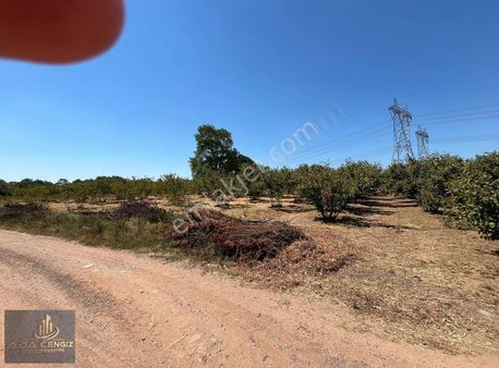 Alandüzünde Şehir Hastanesine 500 Metre Mesafede 18.500 M2 Tarla