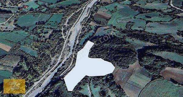 Deka Gayrimenkul'den Gerze'de 8.226 M² Yola Cephe Tarla(hisseli)