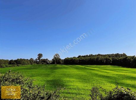 Deka Gayrimenkul'den Havalimanı Yanında Satılık 30.864m² Tarla