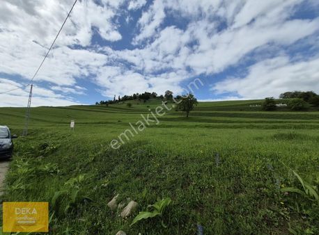 Deka Gayrimenkul'den Sakin Şehir Ünvanlı Şavşat Yavuzköyde Tarla