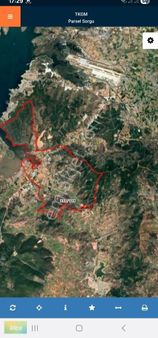 Milas Dörttepe Verimli Zeytinlik