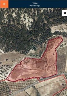 Kemal Emlak'tan Gülnar Şeyhömerde Anayola Sıfır Yatırımlık Meyve Ağaçlı Satılık 39 Dönüm Tarla