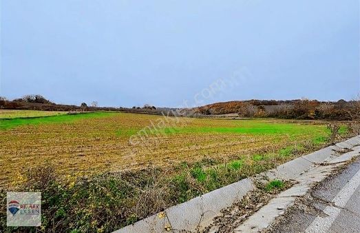 Nesrin Akyıldız'dan Kandıra Çalköy Mah Satılık Tarla 3988 M2