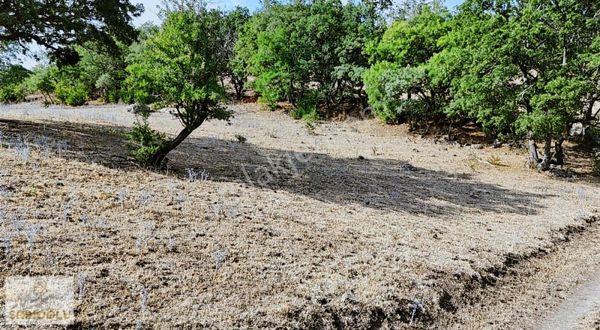 Merkez Sarıbeyli'de Bölgenin En Uygun Fiyatlısı 20.500 M2 Tarla