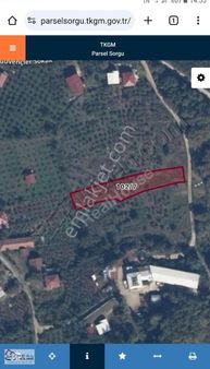 1500m2 Düz %40 İmarlı Bol Oksijenli Doğa Ve Gün Batımı Manzaralı