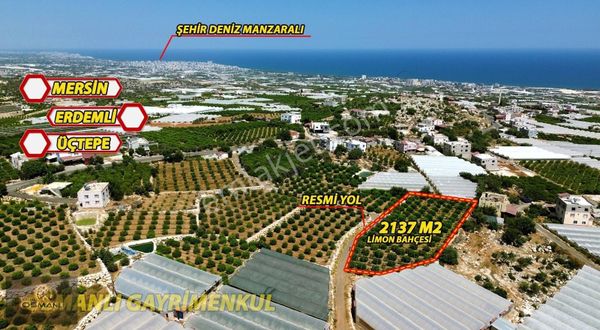 Mersin Erdemli Üçtepe Mahallesi Satılık 2137 M2 Parsel