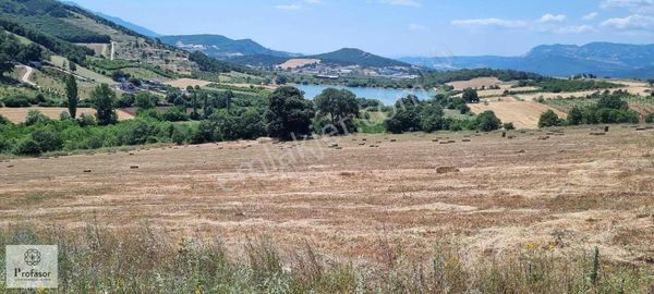 Ptofasor *dan Erdoğanköy De Satılık 2038m2 Tarla