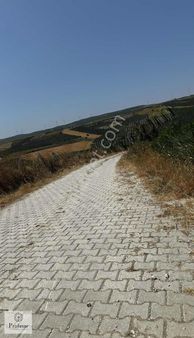 Profasor *dan Mudanya Çamlık'ta Satılık 12930m2 Tarla