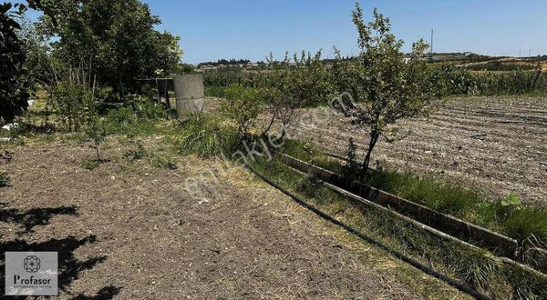 Profasor *dan Karacabey Harmanlı'da Satılık Tarla