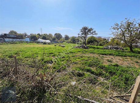 Balçık'da Köşe Başı 3760 M2 Arsanın 510 M2 Hissesi Satılıktır.