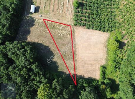 Kandıra Seyitaliler'de Yatırımlık 888m2 Satılık Tarla