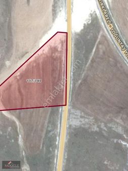 Kayalı'da 6.035 M2 Satılık