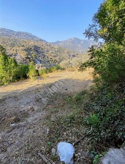 Acil Satılık!!!!yatırımlık 2 Adet Tapu Kupon Havuzlu Bahçe