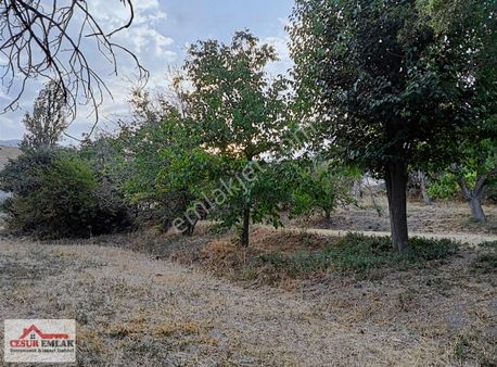 Cesurdan Satılık Villa Arsası