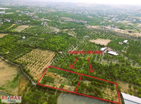 Orduzu'da 4500 Metrekare Muvafakatnamesi Alınmış Kayısı Bahçesi