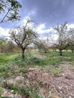 Battalgazi Karabağlar Mahalesinde Satlık Bahçe.