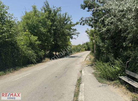 Boran'da Remax Güneş'ten 17 Dönüm Yola Cephe Bahçe