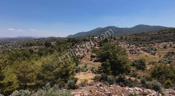 Milas Balcılar Mahallesi'nde İyi Bir Yatırım Fırsatı