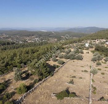 Kızılağaç Kocasarnıç'ta 600 M2 Tarla