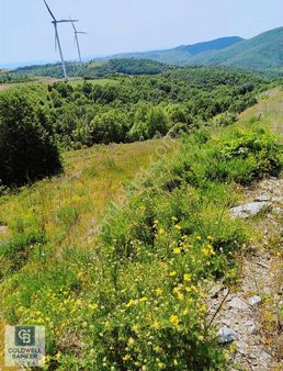 Çanakkale Lapseki Dumanlı Köyü 5066 M² Satılık Tarla