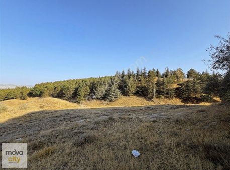 Altınbaş Köyünde Satılık Ham Toprak Tarla