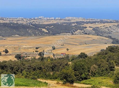 Samsunun Göz Bebegi Sarayköy De 6.500 M2 Acil Kelepir Yer
