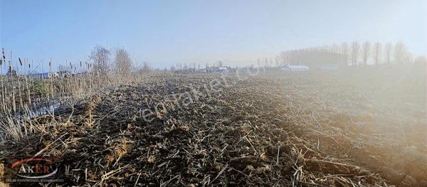 Müstakil Tapu Çifliklik Arazi