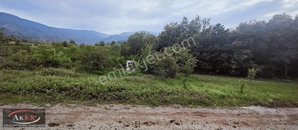 Kuzuluk En Güzel Parseli