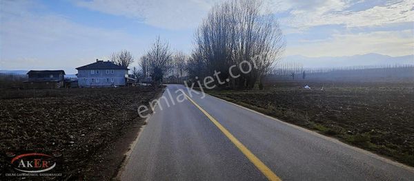 6 Dönüm İki Tapu Cadde Üstü