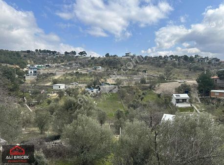 Bornova Yaka Da Taş Duvarı Çevrili Kupon Arsa