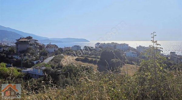 Yalova Çınarcık Koruköyde Satılık Arsa