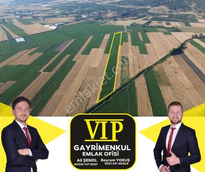 Vip Gayrimenkul'den Mursal Mah. Yol Cepheli 25.100m² Tarla