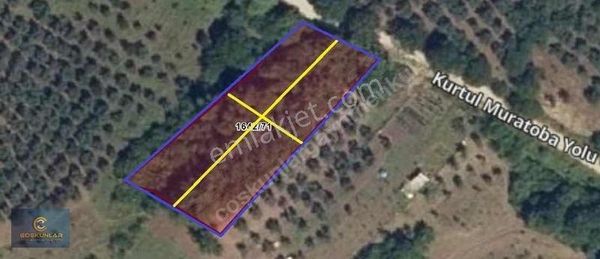 Gemlik Mesire Alanı Yanında Asfalt Yolu Olan Satılık Arazi