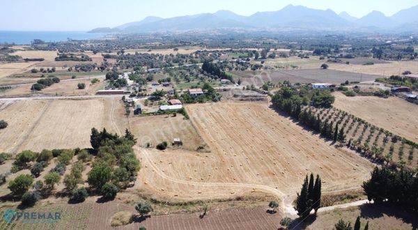 Premar Datça Kızlan'da 1588m2 Yolu Olan Tarla