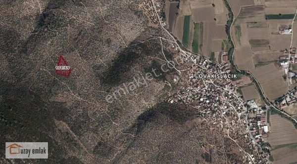 Muğla Milas Ovakışlacık'da Satılık Zeytinlik