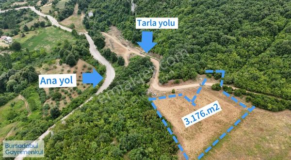 Bursadabul'dan Onaç Mah. Orman İçi Göl Manzaralı Tarla 3.176 M2