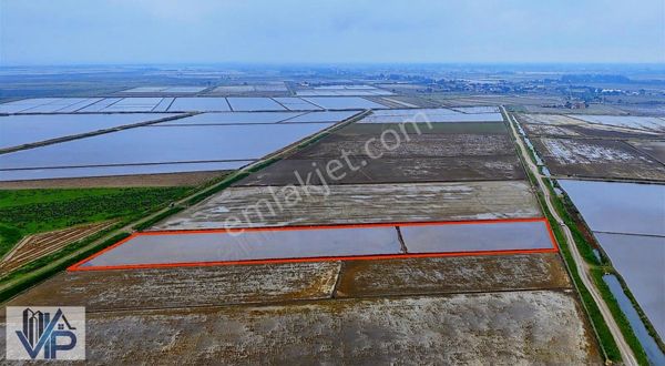 Bafra Vıp Gmd'den Korulukta 11 Dönüm Satılık Tarla!!