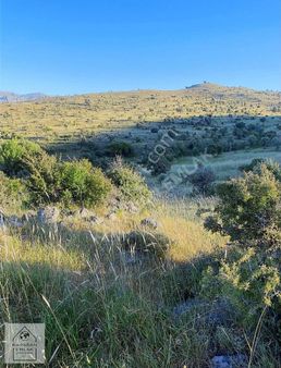 Hayvancılık İçin Projeli Parseller (lütfen Açıklamayı Okuyunuz)