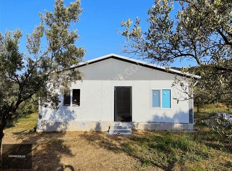 Şahane Göl Manzaralı Prefabrik Ev Ve Zeytinlik.