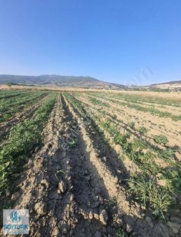 Soytürk'den Yüreğil De Ovada Verimli 1967 M2 Arazi
