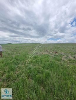 Soytürk'den Serinhisar Yüreğil Uluyolaltı Mevkii 1640 M2