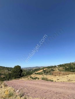 Emine Altuntaş'tan İzmit Kısalarda Yatırıma Uygun Tarla