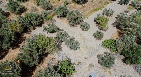 Detay'dan Aksakal Mh. 328m² Hobi Bahçesine Uygun Bağ !