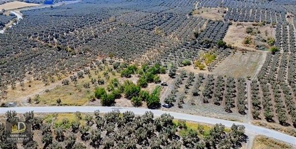 Detay'dan Musakça Mh. 2000m² Deniz Manzaralı Yatırım Fırsatı!