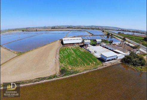 Detay Emlaktan Manyas Eski Çatal 515 M2 Resmi Yolu Olan Tarla