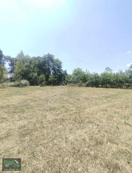 Deallife Gayrimenkul Fsm De Arsa