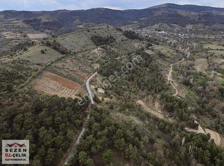 Çanakkale Bayramiç Gedik Köyü Kadastral Yol Yanı Geniş Tarla