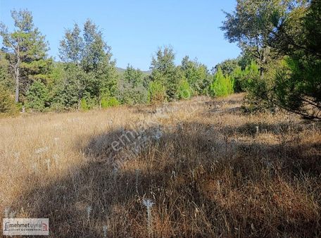 Muğla Menteşe Kuyucak'ta 1657m2 Satılık Tarla