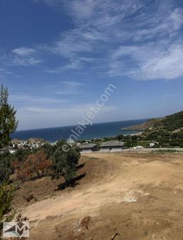 Balıkesir Bandırma Sahil Yenice Mahallesi