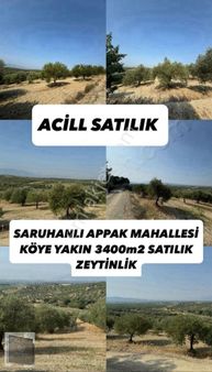 Saruhanlı Apak Köyü Çok Uygun Fiyatlı Müstakil Parsel